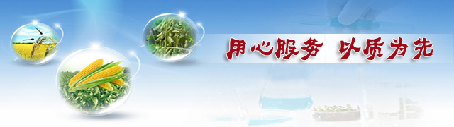 红色劲典缓释肥用心服务,以质为先 红色劲典缓释肥用心服务,以质为先