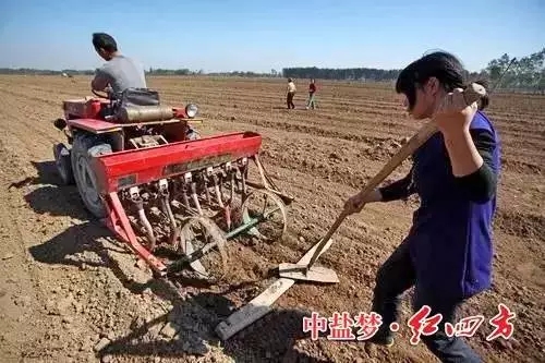 小麦种植户最关心的是什么? 小麦种植户最关心的是什么?