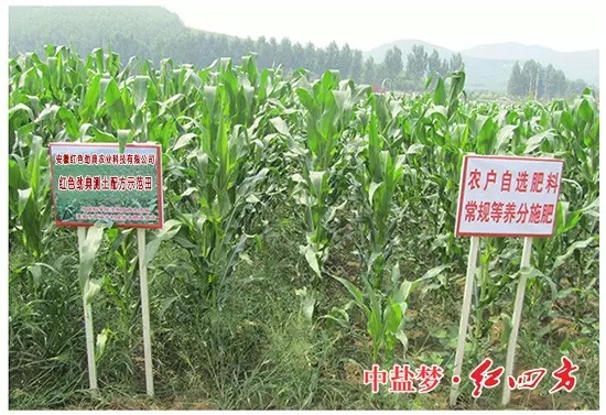 红色劲典专用新型缓释肥料 红色劲典专用新型缓释肥料