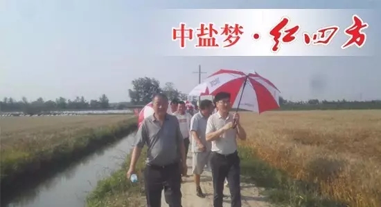 方青林经理与无为县代理商周财宝同行 方青林经理与无为县代理商周财宝同行