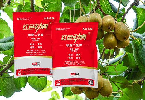 红色劲典领酸二氢钾叶面肥