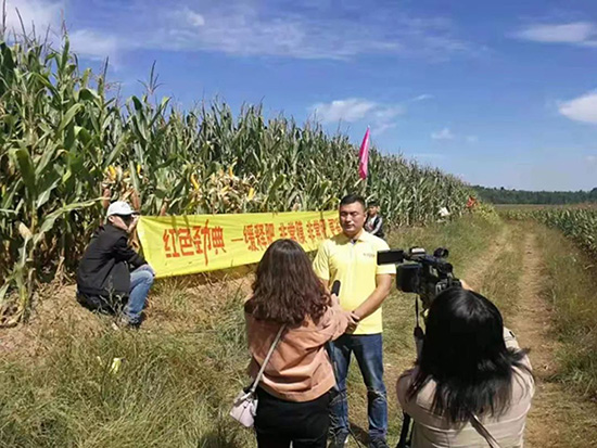 红色劲典玉米缓释肥